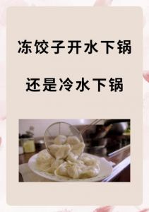 冻饺子怎么煮才算熟了_煮冻饺子时间技巧