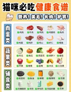 猫肉的一百种烹饪方法_两广巧烹猫肉佳肴，烤肉须守法尊重生命