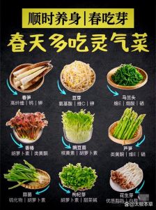95嫩草精品人人精品——探索嫩草的多种特色做法与美食文化解析
