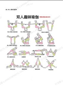 适合车内空间的双人运动操详细教学视频，助你在旅途中轻松锻炼身体的做法指南