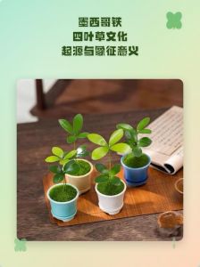 四叶草美食文化解析：成品与精品在四叶草料理中的区别与意义
