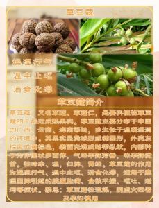 嫩草美食文化解析：发现嫩草在家庭菜肴中的多种创新用法与独特入口风味