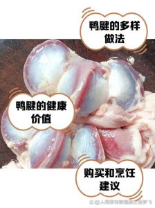 鸭肫是鸭的什么部位_高蛋白营养，卤炒美味，正确处理保鲜