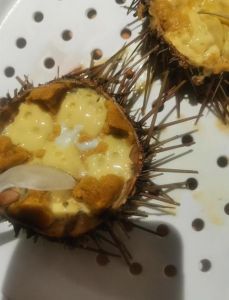 海胆的吃法与做法_生态海胆美味多，营养丰富烹饪易，请适量享用