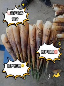 春笋苦涩的4种去除方法_去春笋苦涩味妙招