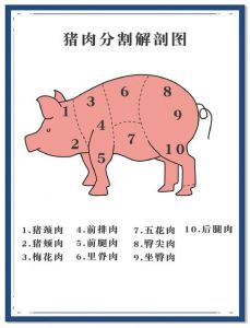 猪全部部位分解图_前腿馅卤，后腿炖，里脊爆，五花肉烧