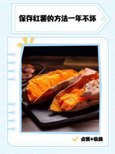 家庭如何储存红薯怎样保存不烂_红薯怎么保存？通风干燥是关键