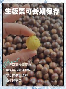 生板栗最简单保存方法_生板栗去刺踩踏或剪口，煮栗加茶叶增香防腐