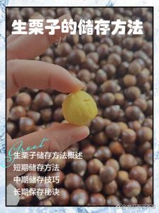 带壳生板栗怎么保存方法_防潮控温防虫保板栗，冷藏冷冻有妙招