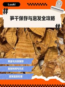 春笋保存的方法三种_冷藏冷冻干燥，锁住鲜味！
