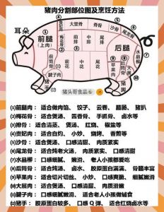 猪肉分类部位及名称_猪肉部位不同，做法各异！