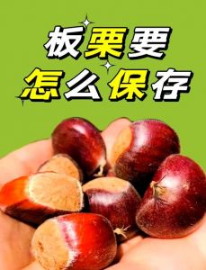 熟栗子冷藏能保存多久_熟栗子冷藏保存方法，防变质延长保质期