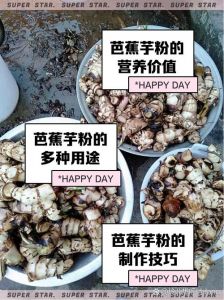 芋头粉的家常做法_冬日暖胃家常味，大雪时节暖心窝