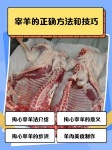 羊肉的处理方法_羊肉去膻妙招，尝鲜不膻