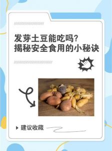 防止土豆生芽的方法_防土豆发芽，冰箱通风加干燥是好法