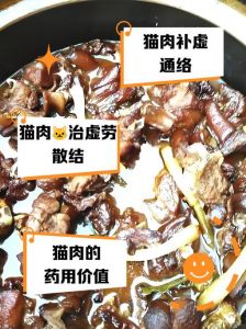 猫肉的做法大全食谱_炖煮鲜美，炒制细嫩
