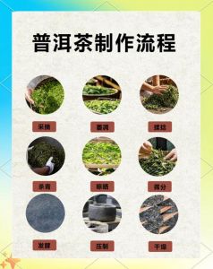去除绿茶苦涩味的加工方法_控制绿茶苦涩味，80℃水温冲泡更佳