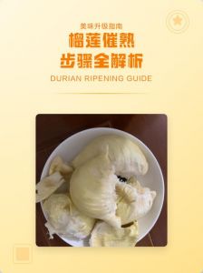 榴莲打开后的催熟方法_榴莲催熟方法，快熟快吃