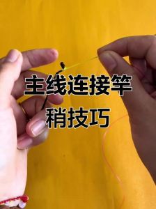 鱼线竿稍打结方法图解_马蹄扣起，小鱼紧扣，大鱼加太空豆，整理修剪，牢固耐用