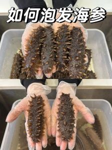 海参干品发制方法详细泡发图解_水泡冷藏，无油无冻，鲜弹可口