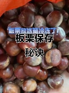 板栗煮熟放冰箱冷冻一年_冷冻板栗保存方法