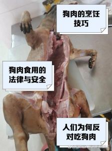 咸狗肉怎么腌制_选狗泡腌晾熏，风味独特