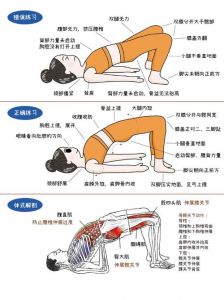 桥式运动的训练方法_桥式运动练核心，姿势正确很重要！