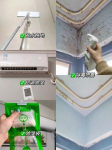 墙壁发霉怎么处理根治_墙壁发霉？除霉防霉小妙招！