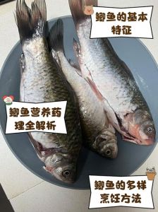 鲫鱼刺多吗有没有小刺_鲫鱼刺多但鲜美，炖汤营养好