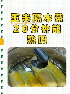 熟玉米可以放到第二天吗_玉米别隔夜，变质快扔掉！