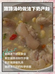 哺乳期下奶猪蹄的做法_体质调整，科学炖煮增奶效