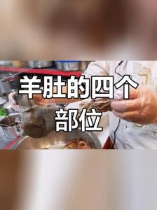 羊肚部位图解_羊肚分三叶，各叶烹饪口感不同，清洗方法要得当