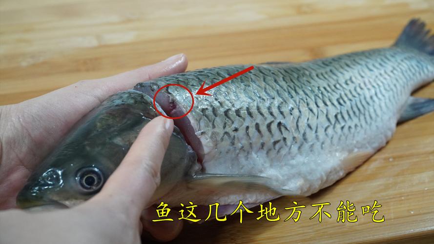鲤鱼去腥线方法图解_去除鱼腥线,简单保新鲜 鲤鱼去腥线方法图解_去除鱼腥线,简单保新鲜