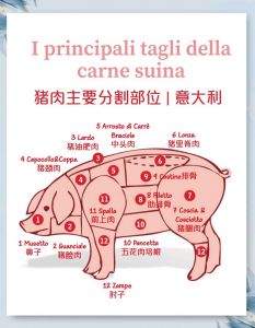 猪三线肉是哪个部位_口感烹饪大不同