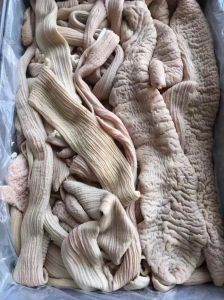 牛肠分几个部位_胃与小肠大肠功能解析