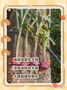 家庭怎样保存大蒜_大蒜保鲜妙招，轻松持久不干瘪发芽