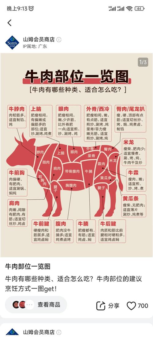 牛各部位肉分布图_炖烤煎炒全解析