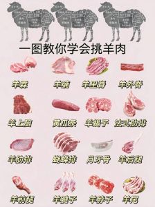 羊肉部位最贵三个地方_羊肉怎么选？部位与做法全解析