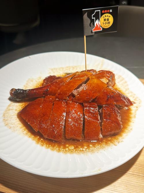 脆皮烧鹅的做法_酥脆可口,家常也能做! 脆皮烧鹅的做法_酥脆可口,家常也能做!