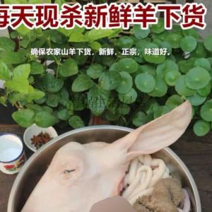 羊杂怎么清洗与处理_羊杂去膻浸泡焯水，做法多样吃法全