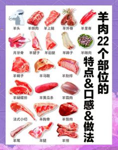 羊杂部位一览表_羊杂美味营养，各部位做法风味不同