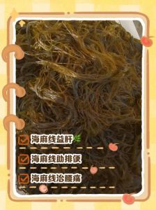 海麻线图片做法_海麻线饺子馅，鲜美可口，沿海特色食材