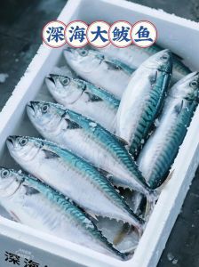 马鲅鱼属于深海鱼吗_鲜美营养，常吃有益