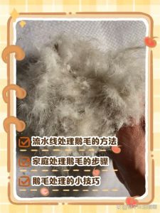 鸭毛如何处理毛最干净_热水烫毛顺方向，特殊部位牙签除