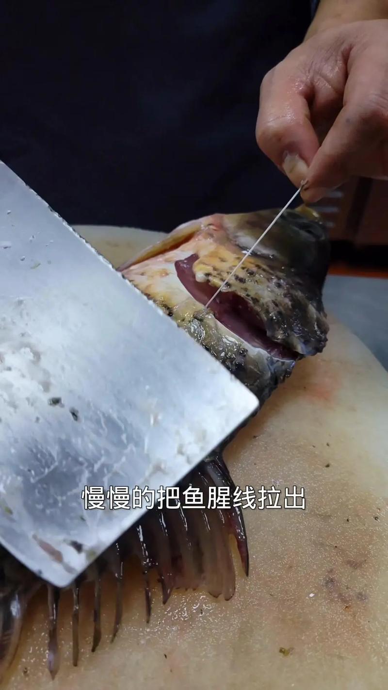鲤鱼去腥线方法图解_去除鱼腥线,简单保新鲜 鲤鱼去腥线方法图解_去除鱼腥线,简单保新鲜