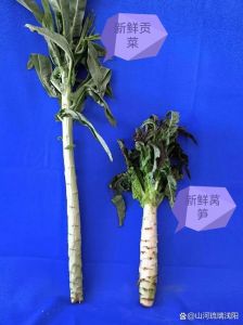 贡菜是不是就是莴笋晒干_贡菜是加工莴笋干，口感脆嫩，火锅佳品