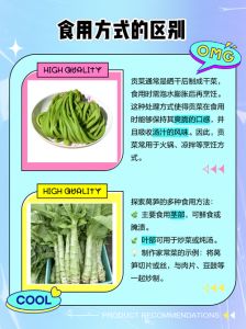 莴笋和贡菜有什么区别_莴笋贡菜同一种，加工后价值大不同
