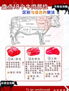 自制肥牛卷用哪个部位的肉_自制肥牛卷，选对部位口感佳