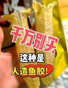 鱼胶是不是鱼的干尸_鱼胶鱼肚大不同，营养口感各千秋
