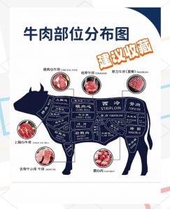 牛肉部位肉详细分解图_选购烹饪一点通